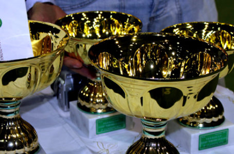 TABELLONE AGGIORNATO del 26° TORNEO GIALLO